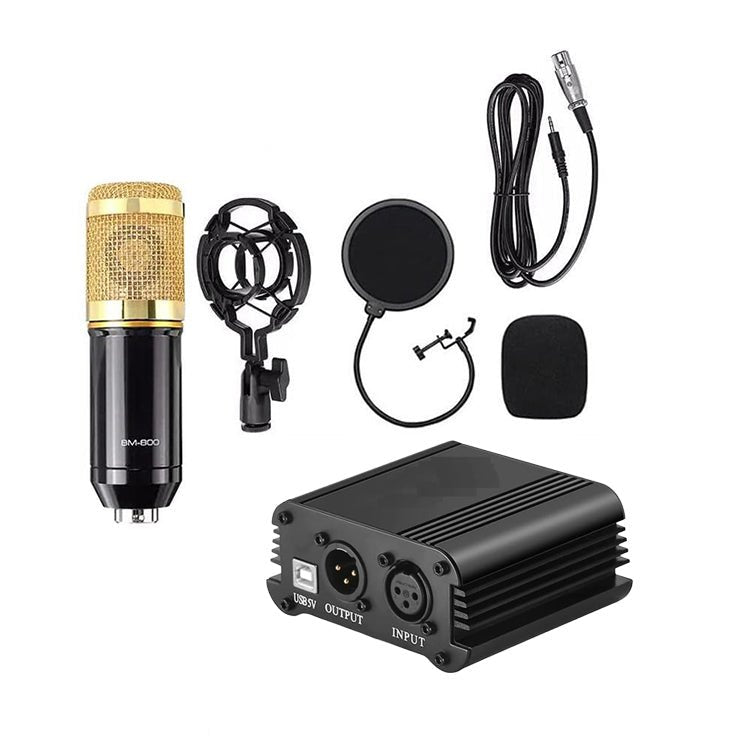 China BM800 with Phantom Power buy at a reasonable Price in Pakistan.