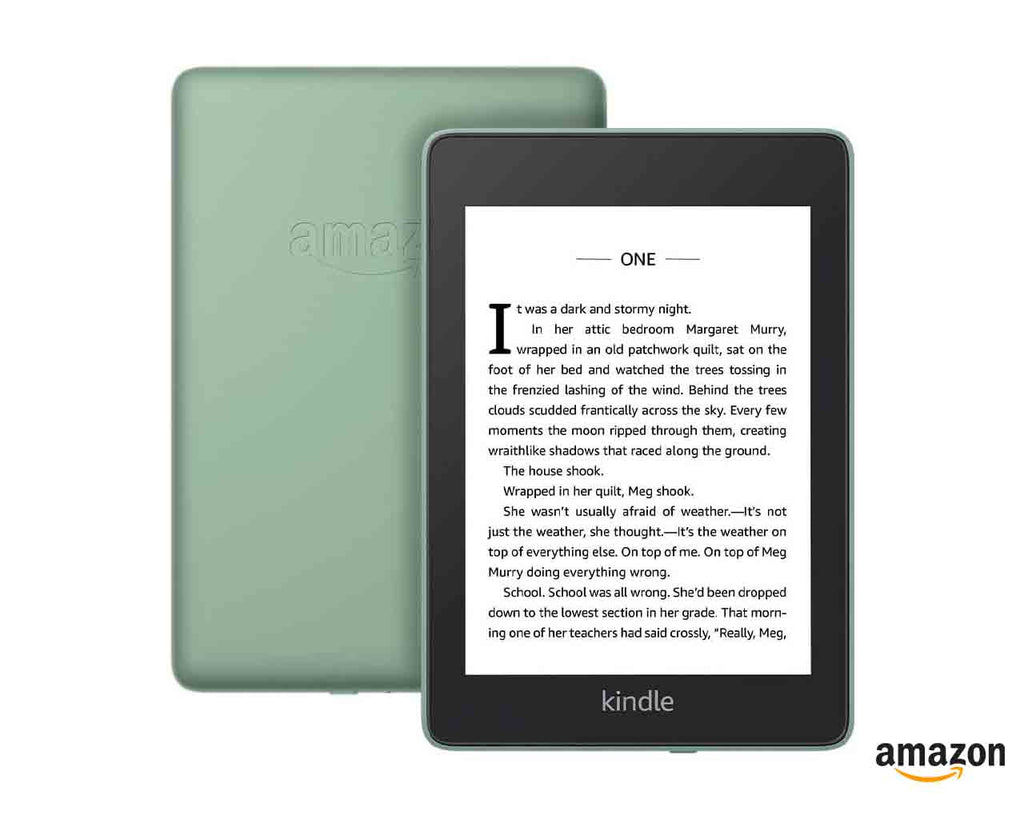 Kindle Paperwhite Sage in Pakistan